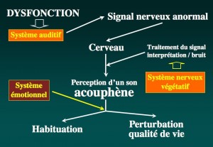 Schéma physiopathologique des acouphènes Schéma: Origine
