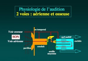 Schéma: Physiologie de l’audition